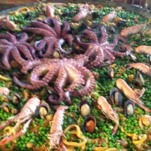 Criadouro Prata