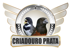 Criadouro Prata Curió Clássico Coleiro Nova Venécia/ES
